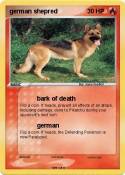german shepred