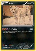 Spitz