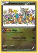Pokemon team
