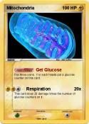 Mitochondria