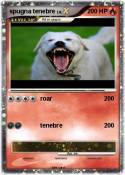 spugna tenebre