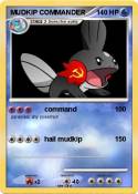 MUDKIP
