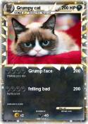 Grumpy cat