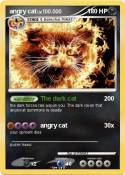 angry cat