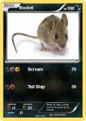 Rocket