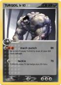 TURQOIL lv 93