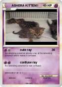ASHERA KITTEN!! ASHERA KITTEN!!