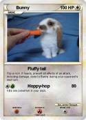 Bunny