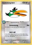 boomerang bird