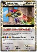 Animal King