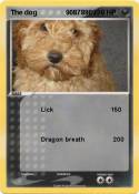 The dog
