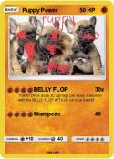 Puppy Power