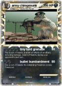 army chimpmunk