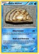 Zebra Mussel