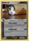 burrito cat