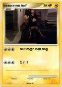 beauceron half