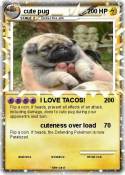 cute pug