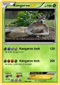 Kangaroo