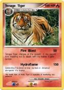 Tenage Tiger