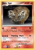 Baby Tiger