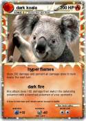 dark koala