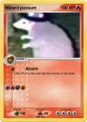Wizard possum