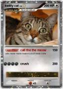 kwitty cat