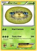 Kiwi Cat Kiwi Cat