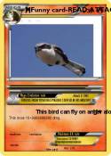 Funny card-READ