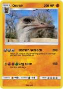 Ostrich