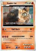 Toaster Cat