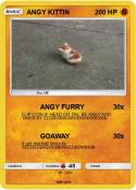 ANGY KITTIN