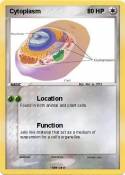 Cytoplasm