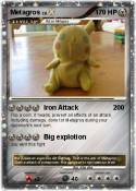 Metagros