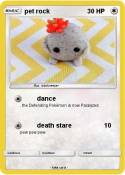 pet rock