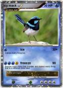 icy mack