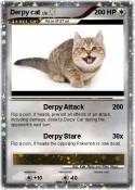 Derpy cat