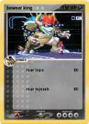 bowser king