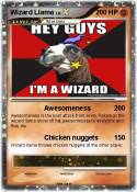 Wizard Llama