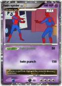 twin spider