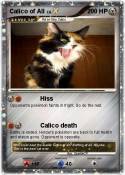 Calico of All