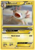 Axolotl