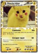 Pikachu kitten