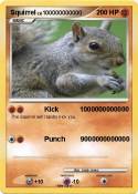 Squirrel