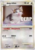 derpy kitten