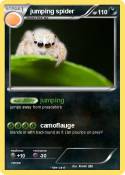 jumping spider