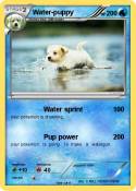 Water-puppy