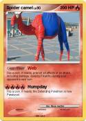 Spider camel