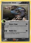 Commander Chow