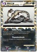 Wild Cat